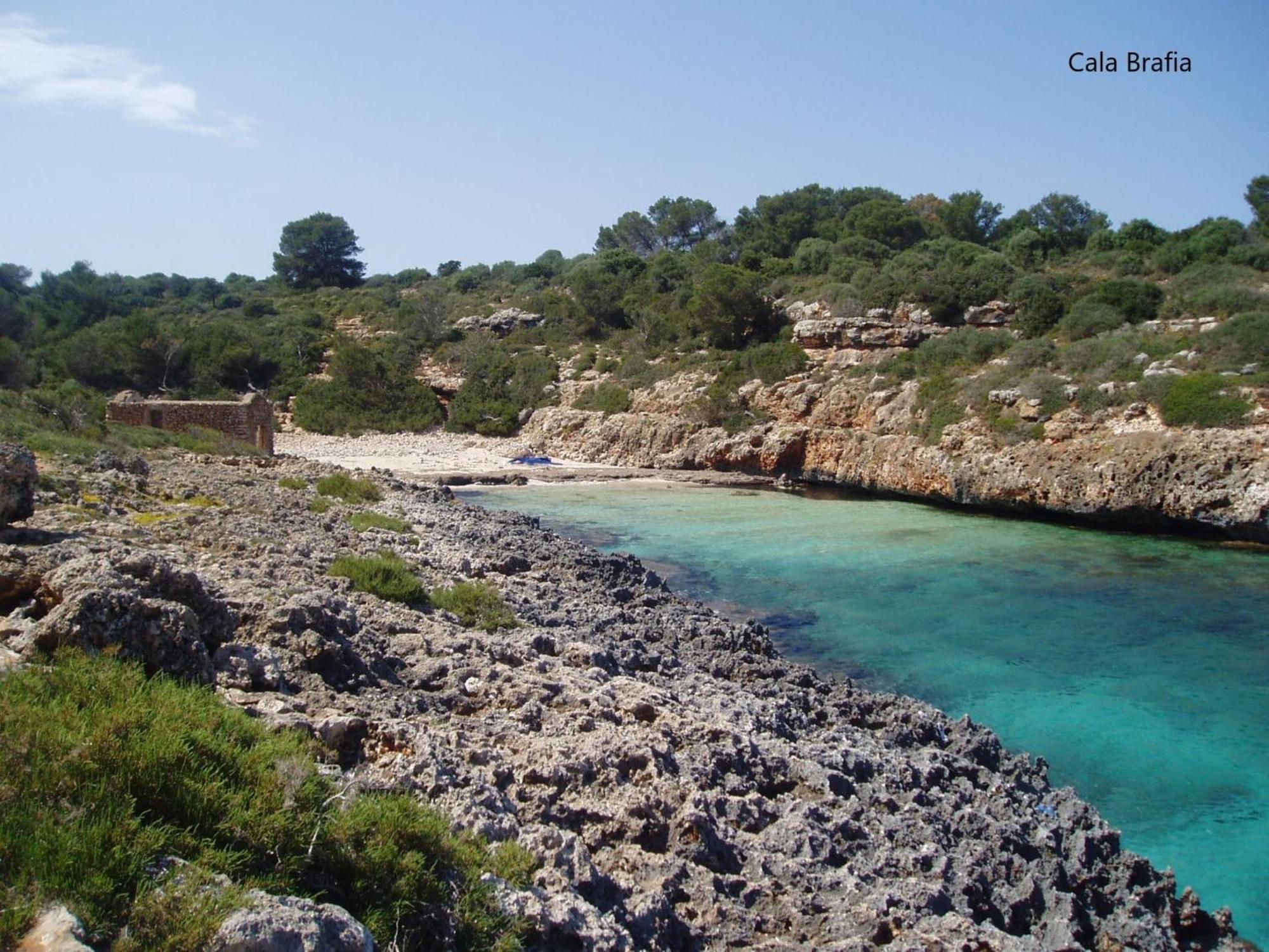 Puig De Sa Figuera Vakantiehuis Felanitx