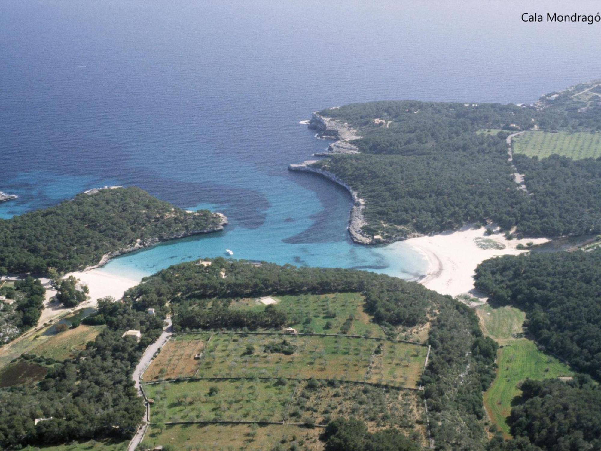 Puig De Sa Figuera